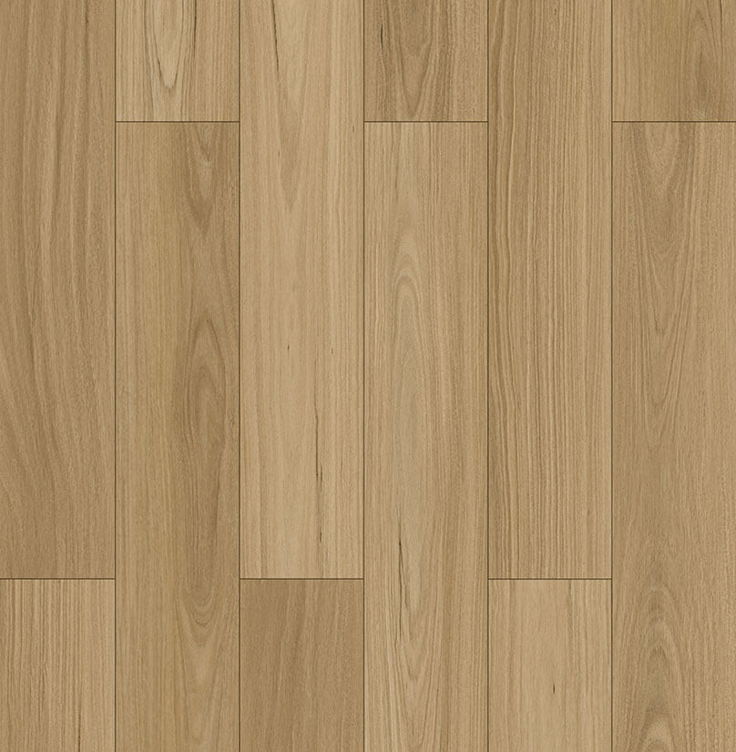 Forestbrook - Coastal Blackbutt