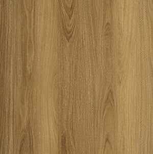 Forestbrook - Spotted Gum