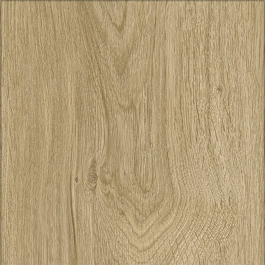 Highland Oak Hybrid - Regal Cove