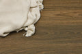 Beige textured blanket with tassels on a wooden surface