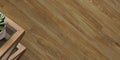 Close-up of a wooden floor with a plant on a table in the corner.
