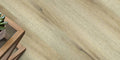 Close-up of a wooden floor with a plant and small table in the corner.