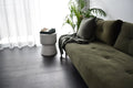 Green sofa with decorative pillows in a room with a plant and small table.